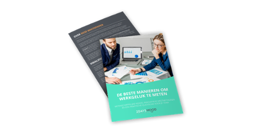 Whitepaper-de-beste-manieren-om-werkgeluk-te-meten-2DAYSMOOD-1