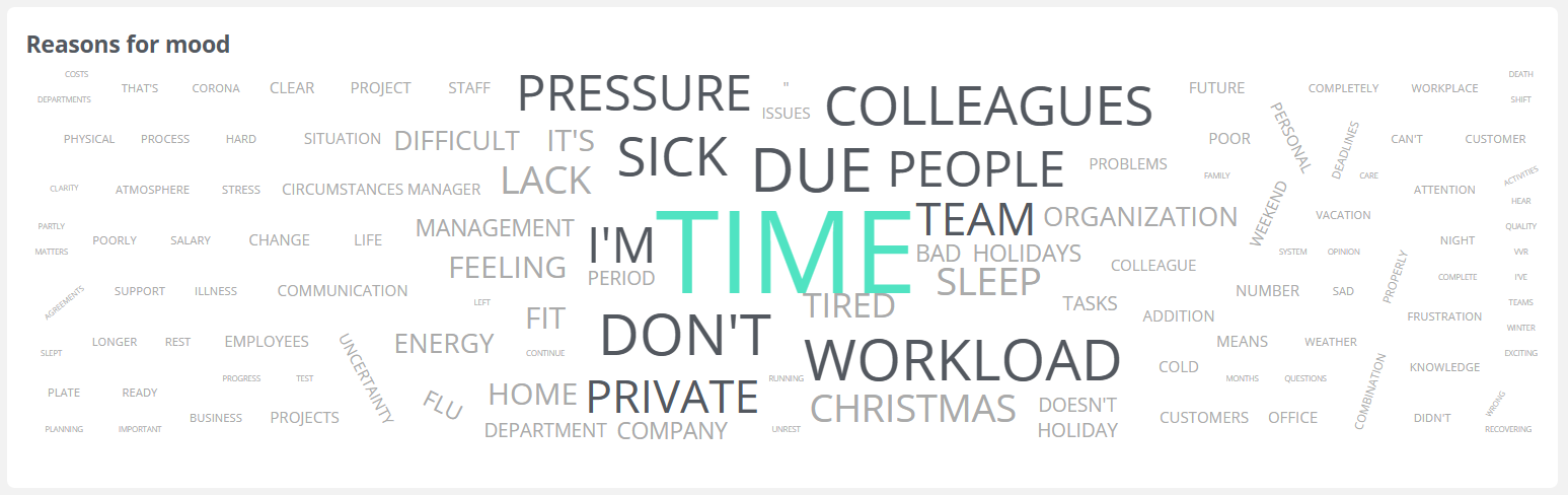In addition to their emotional state, employees using our 2DAYSMOOD software tool indicate the reasons behind their moods. To delve further into what might be causing the negative mood trend, we have compiled these reasons into the word cloud below. What stands out prominently here is ‘workload’, 'pressure' and ‘time’. It's possible that in the month of December, employees may need to complete projects before the new year, adding pressure. Additionally, December brings many holidays and private obligations, potentially leaving less time for work and creating a sense of pressure or 'not enough time.' As an employer, be aware of the extra challenges that the month of December may pose and try to support employees in navigating them.
