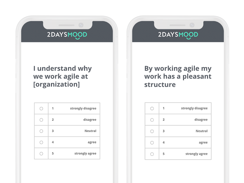 Agile-working-why-and-structure-2DAYSMOOD-smartphone-EN