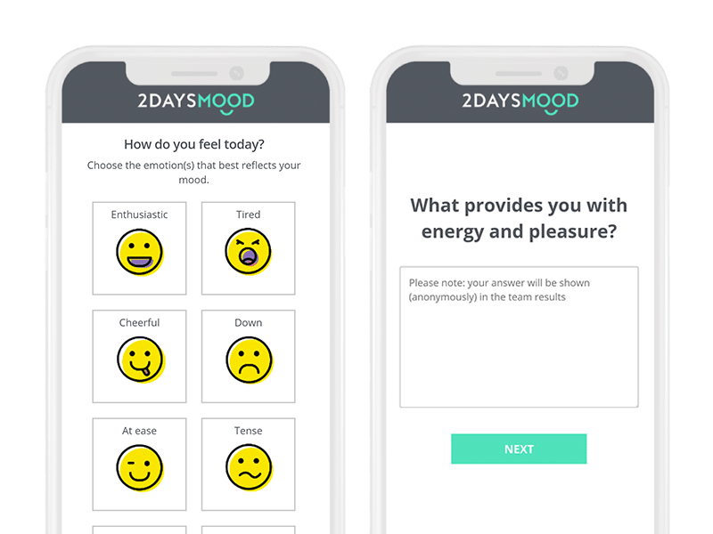 Measure-mood-feedback-emotions-pulse-survey-2DAYSMOOD-smartphone-EN